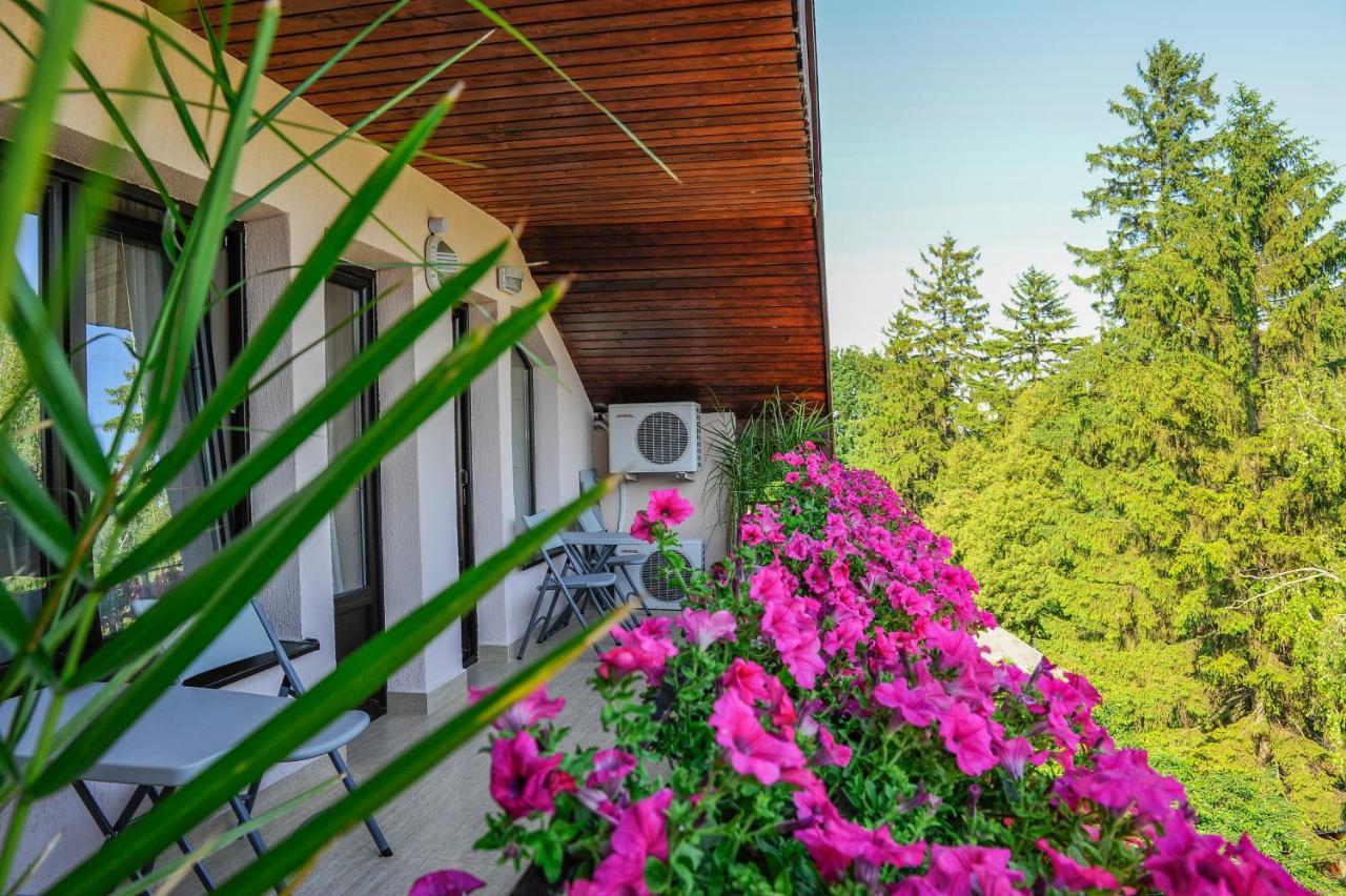 Villa Alice Suceava Exterior photo